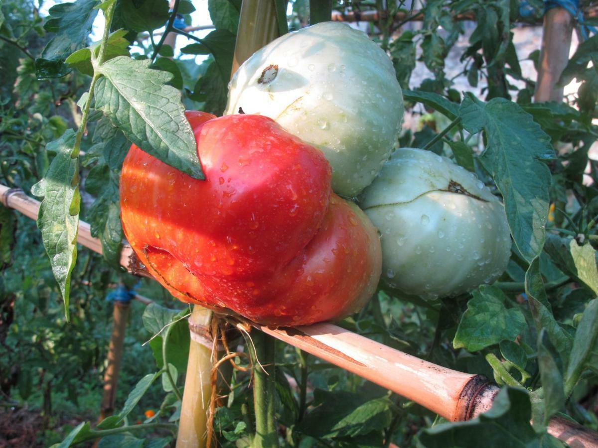 Cottage Poppy Tursac 외부 사진